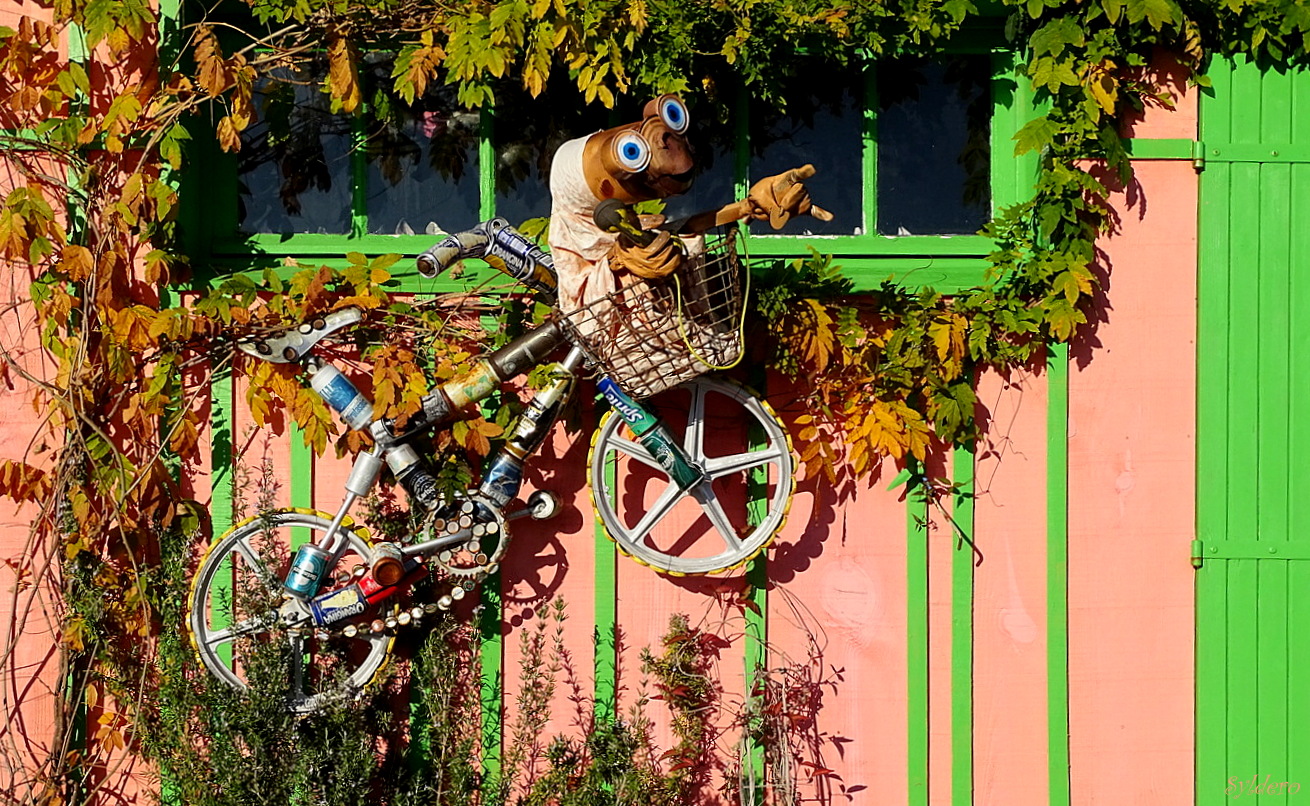 Le petit vélo suspendu