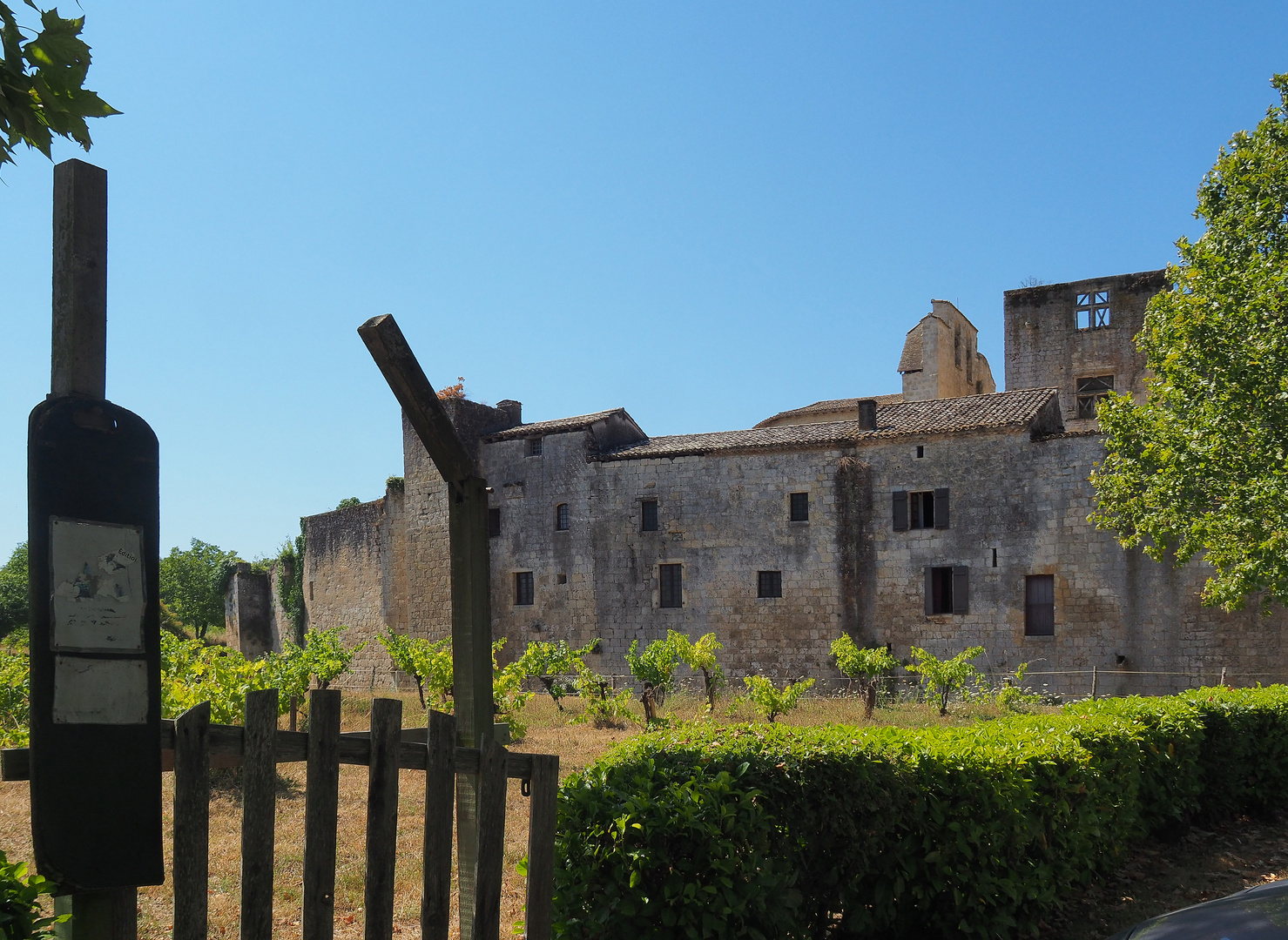 Le petit vignoble de Larressingle