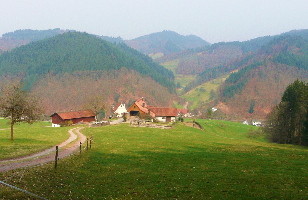 LE PETITE MAISON SUR LA COLLINE