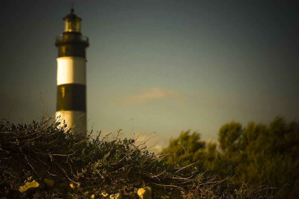 Le Phare de Chassiron