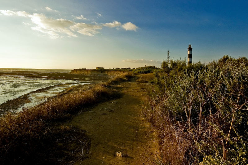 Le Phare de Chassiron