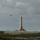 Le Phare de Goury