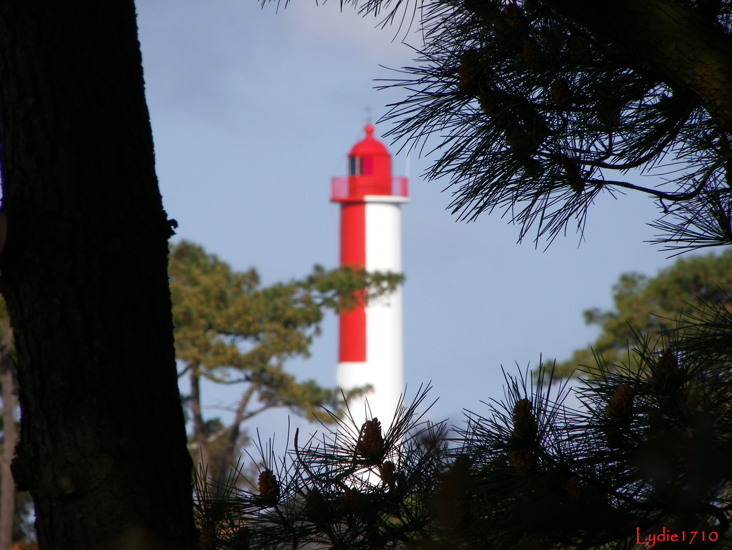 Le Phare de Terre-Nègre .