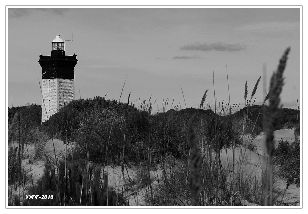 ... le Phare l'Espiguette ...