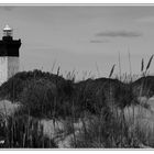 ... le Phare l'Espiguette ...