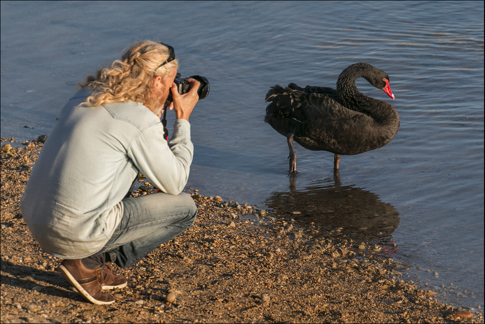 Le Photographe 