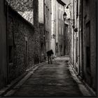 Le photographe dans la ruelle de Lagrasse