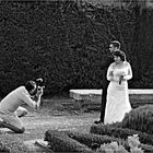 le photographe de mariages 1