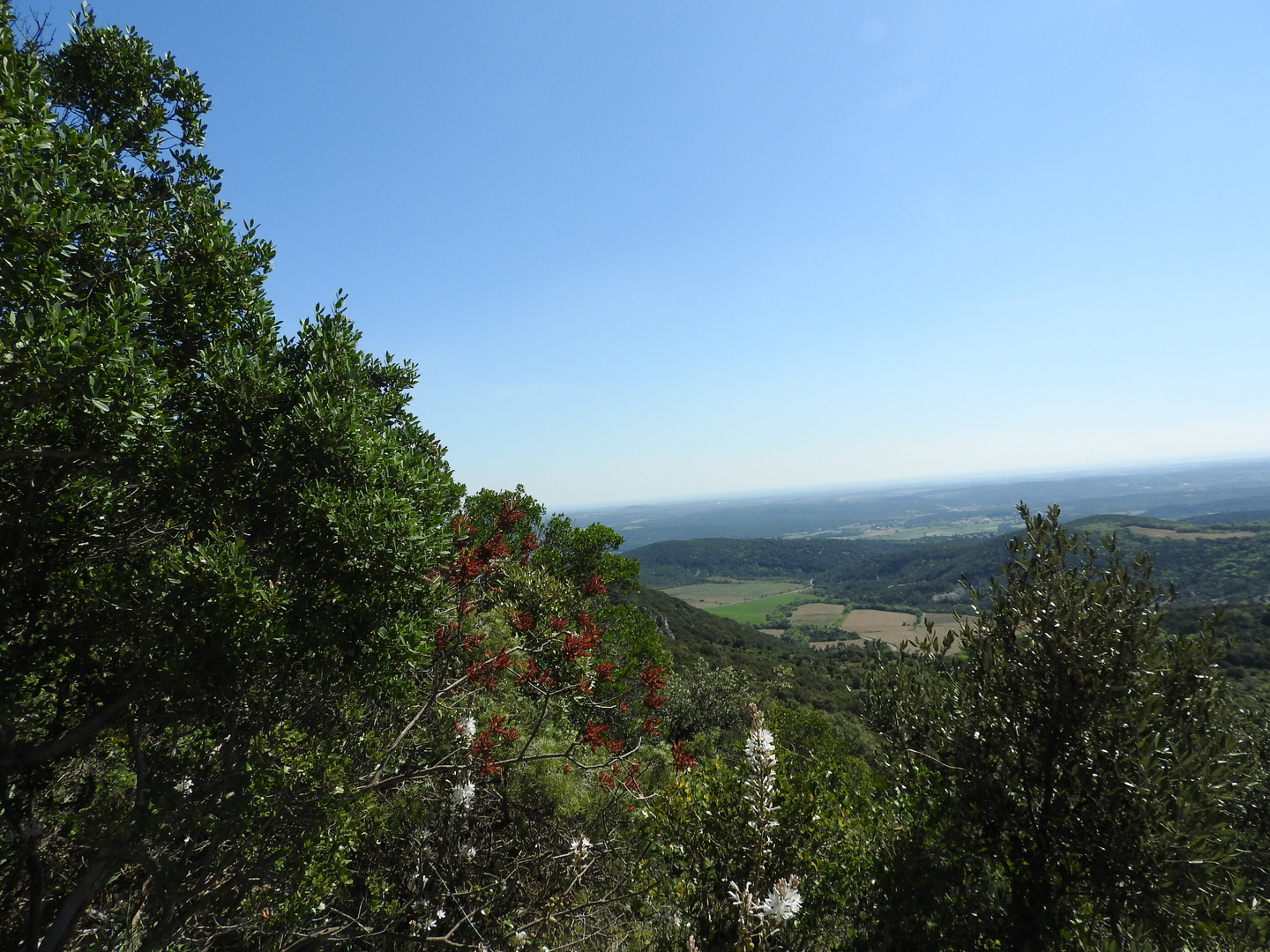 le pic st loup  cevennes