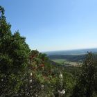 le pic st loup  cevennes