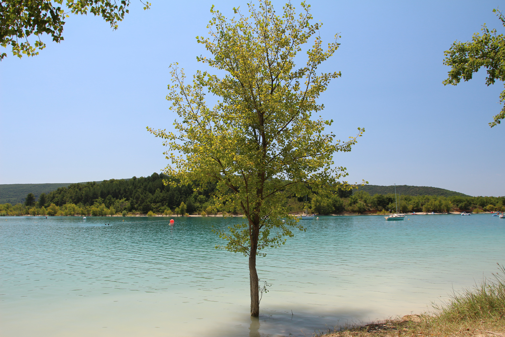 Le pied dans l'eau