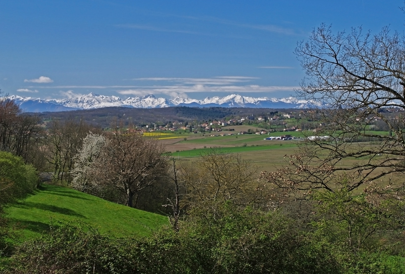 Le Piémont pyrénéen au printemps