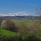 Le Piémont pyrénéen au printemps