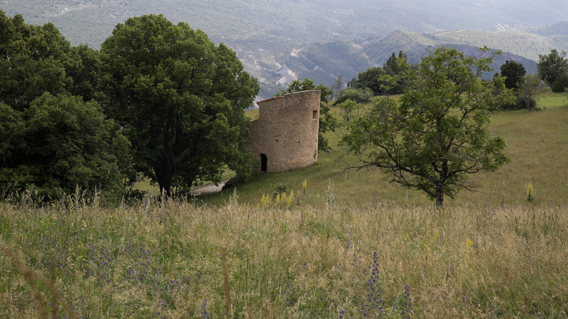 Le pigeonnier