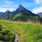 Le Pique de la Pique, lors de la randonnée du tour des ports, depuis l'Hopsice de France,(31).