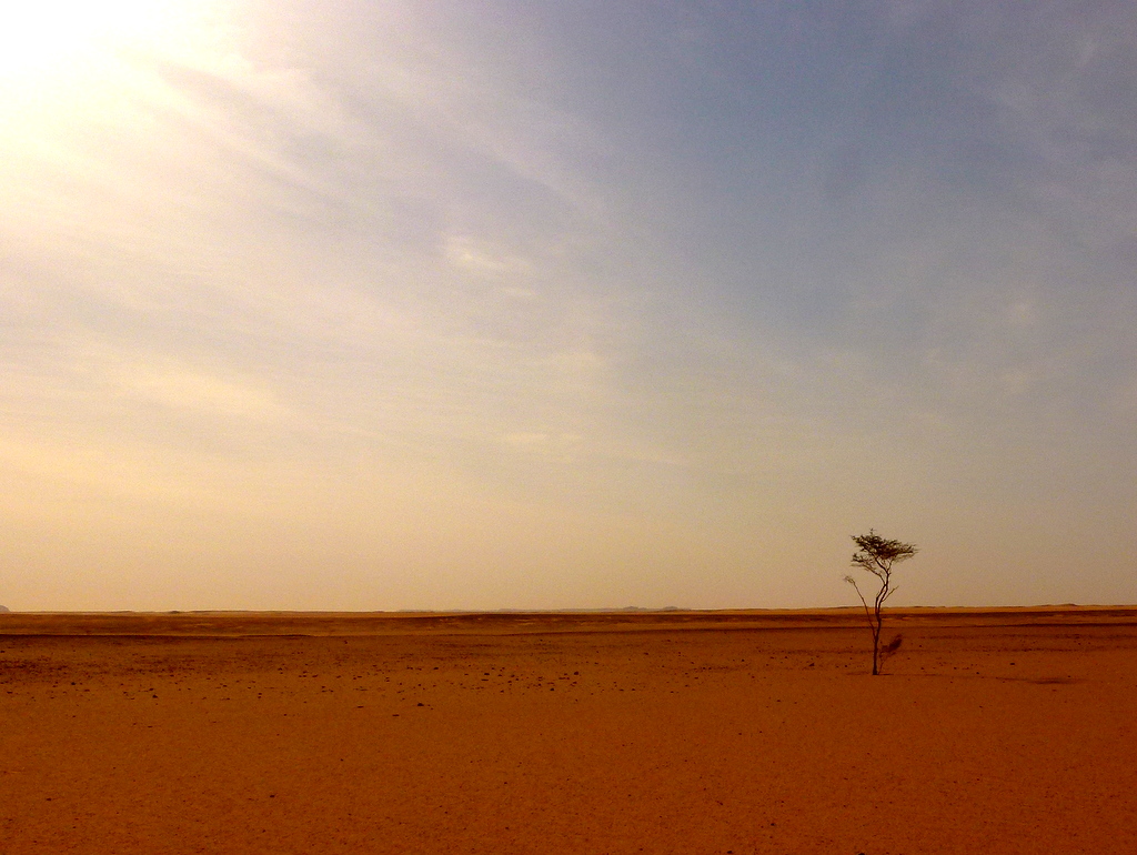 Le plain desert (2012)