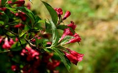 Le plaisir du regard