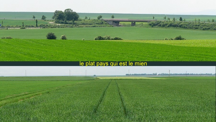 le plat pays