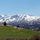 Le " plateau de Bure " dans le massif du Dévoluy ( Hautes-Alpes )