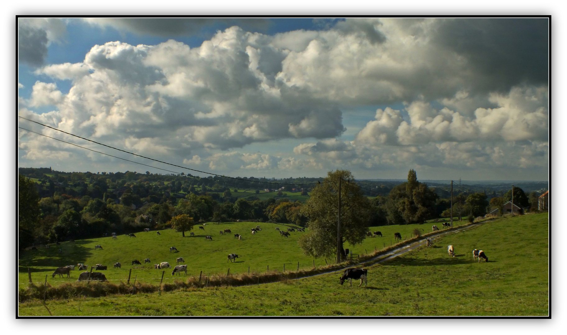 Le plateau de Herve