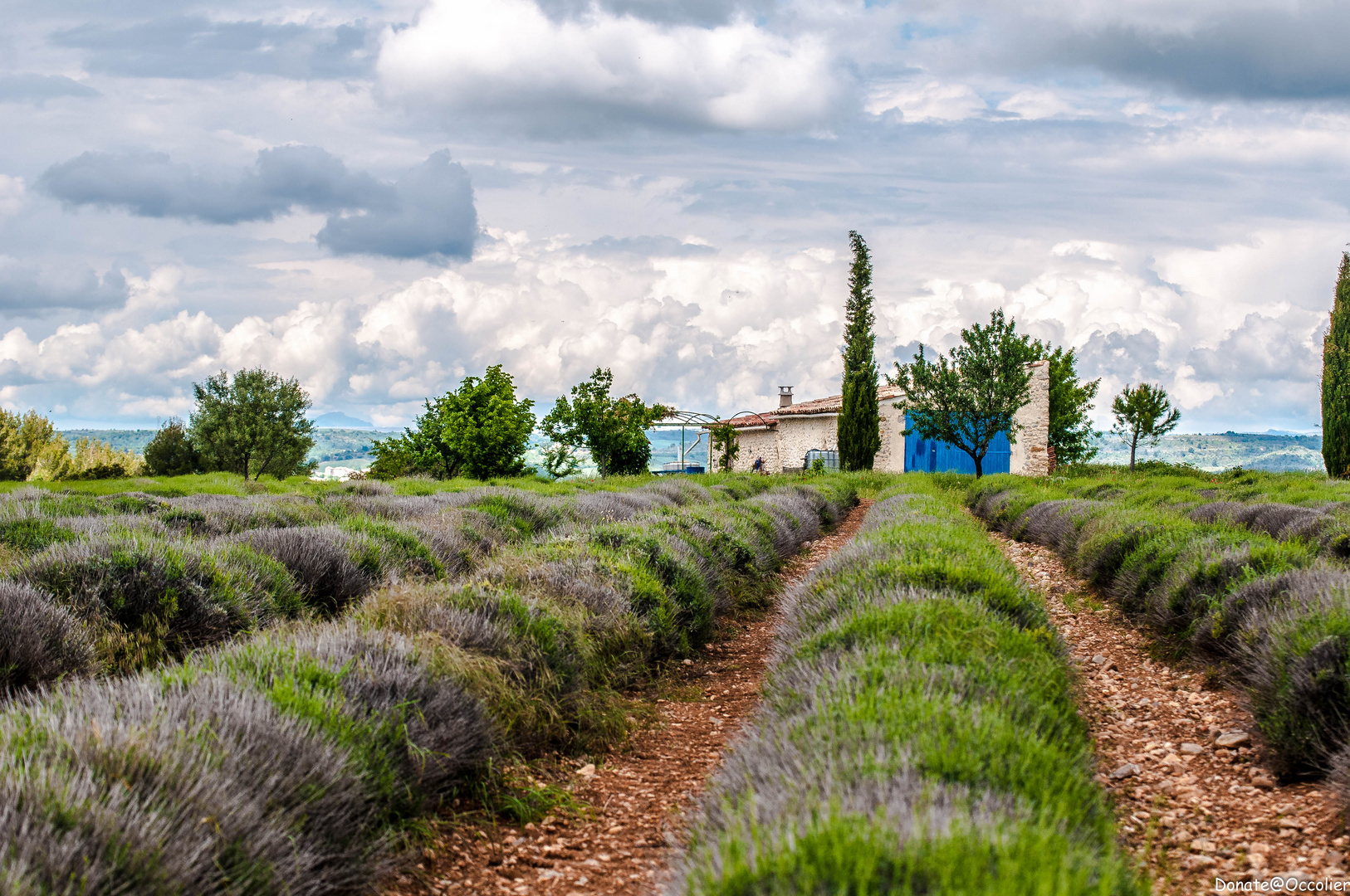 le Plateau de Oreson