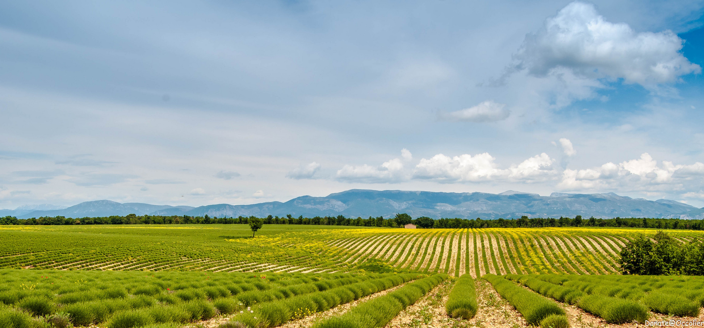 le Plateau de Valensol