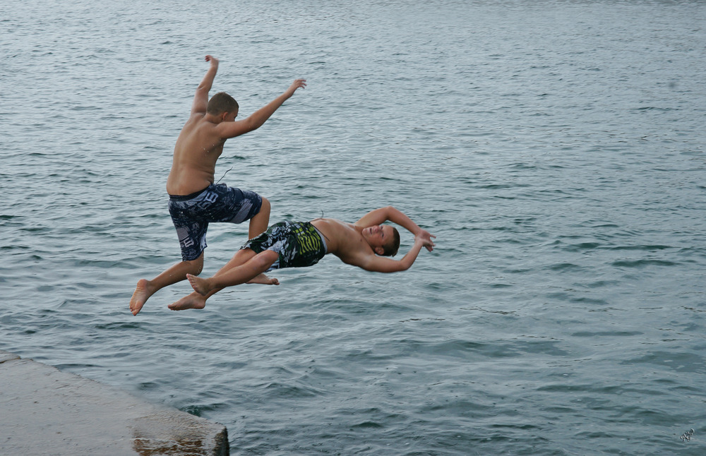 le plongeon