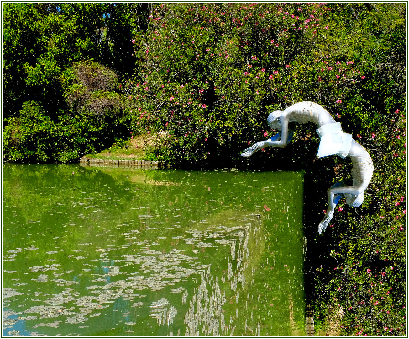 Le plongeon d'Ophélie