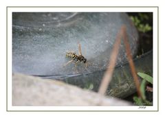 le point d'eau