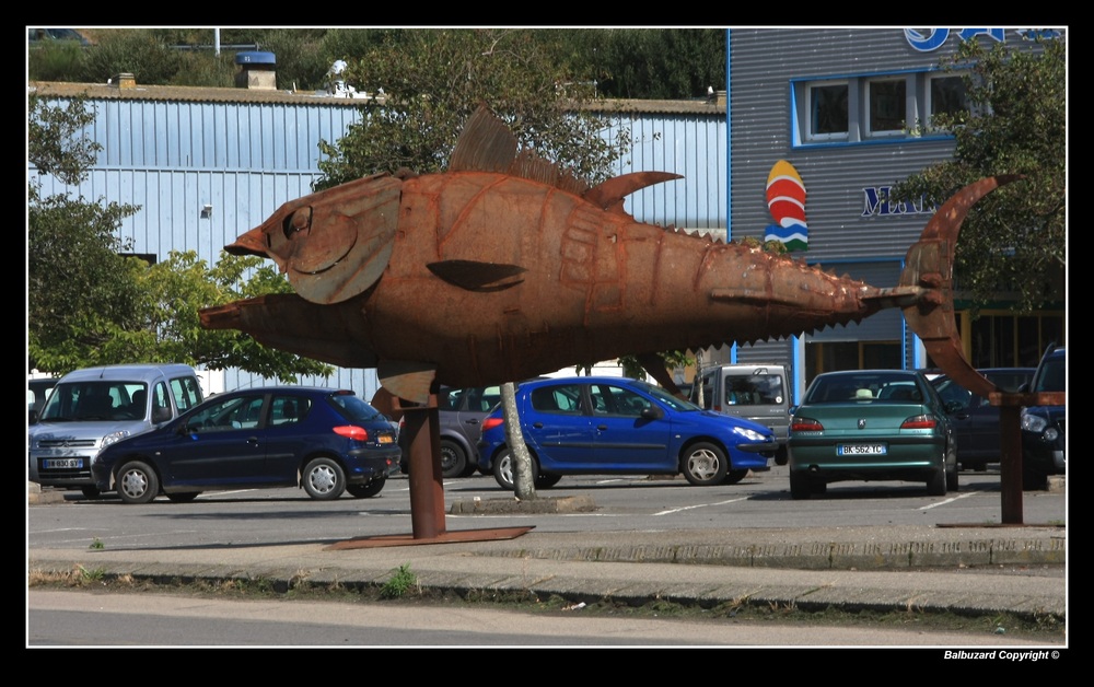 " Le poisson volant "