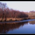 " Le polder dans le froid"