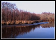 " Le polder dans le froid"