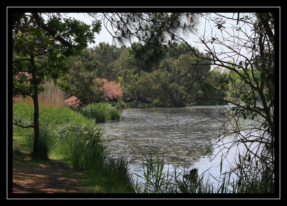 " Le polder de Mousterlin "