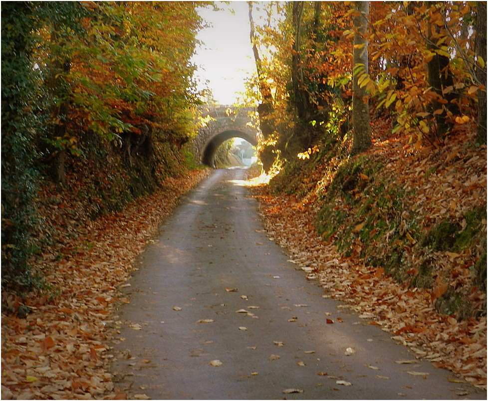 le pont