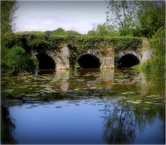 le pont