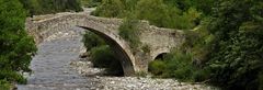 LE PONT DANS LA FORÊT