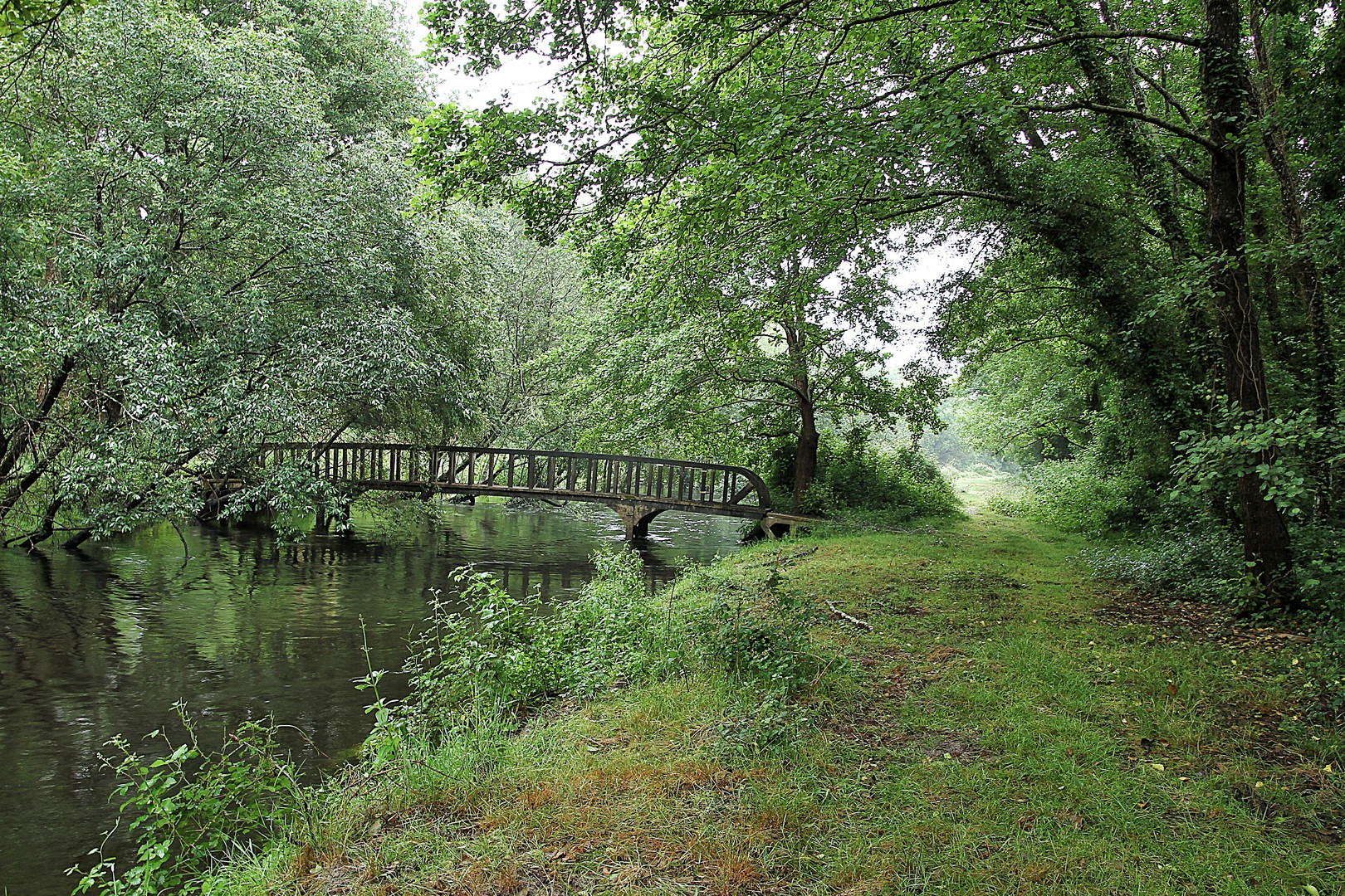 Le pont dans le marais !