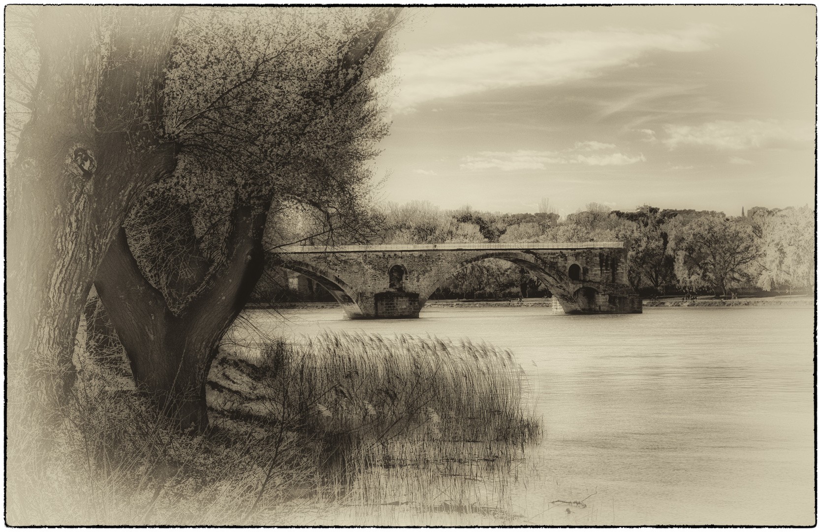 Le pont d'Avignon