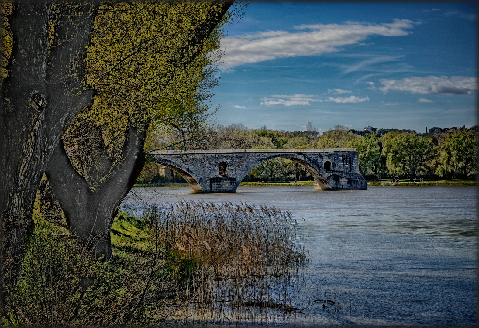 Le pont d'Avignon