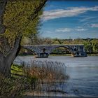 Le pont d'Avignon