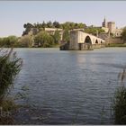 Le Pont d'Avignon