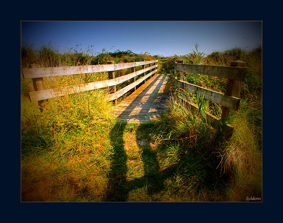 Le pont de bois