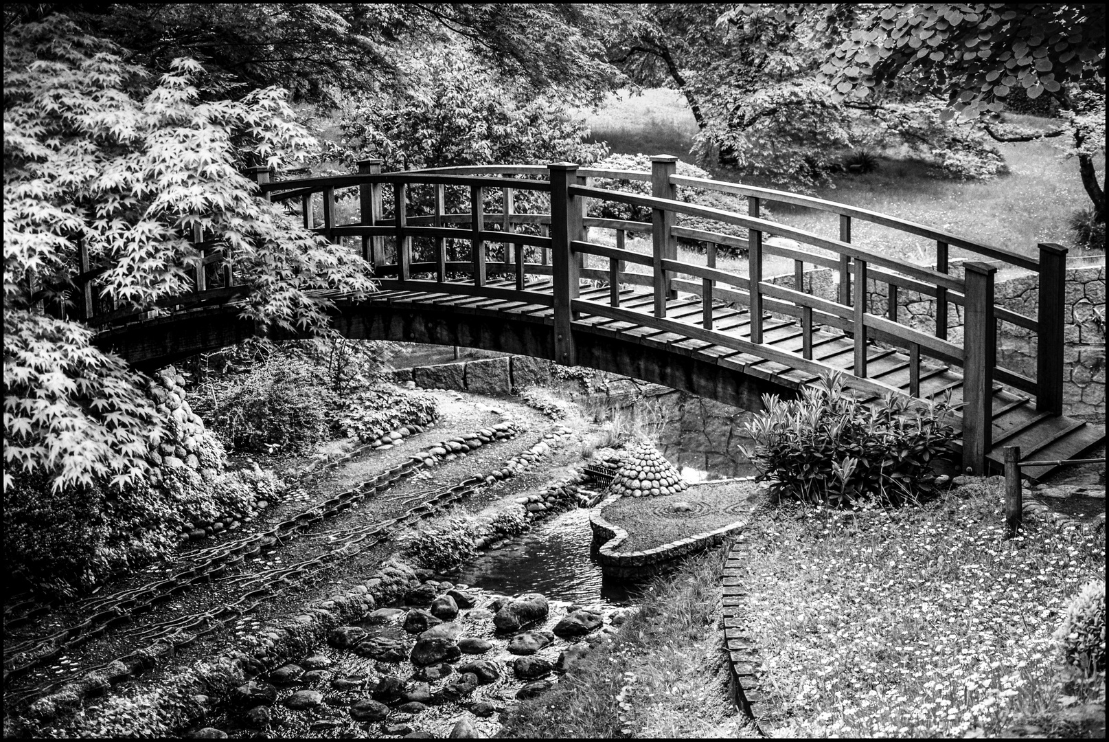 le pont de bois