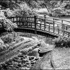 le pont de bois