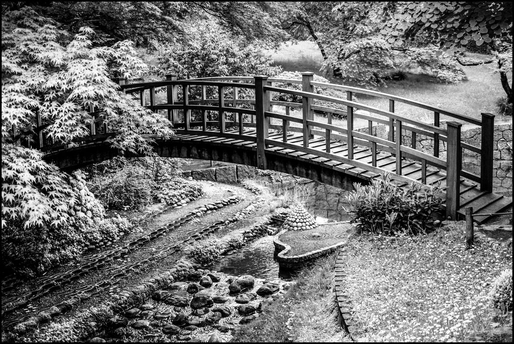 le pont de bois