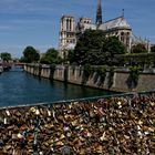 Le pont des arts