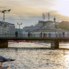 Le pont des Bergues à Genève