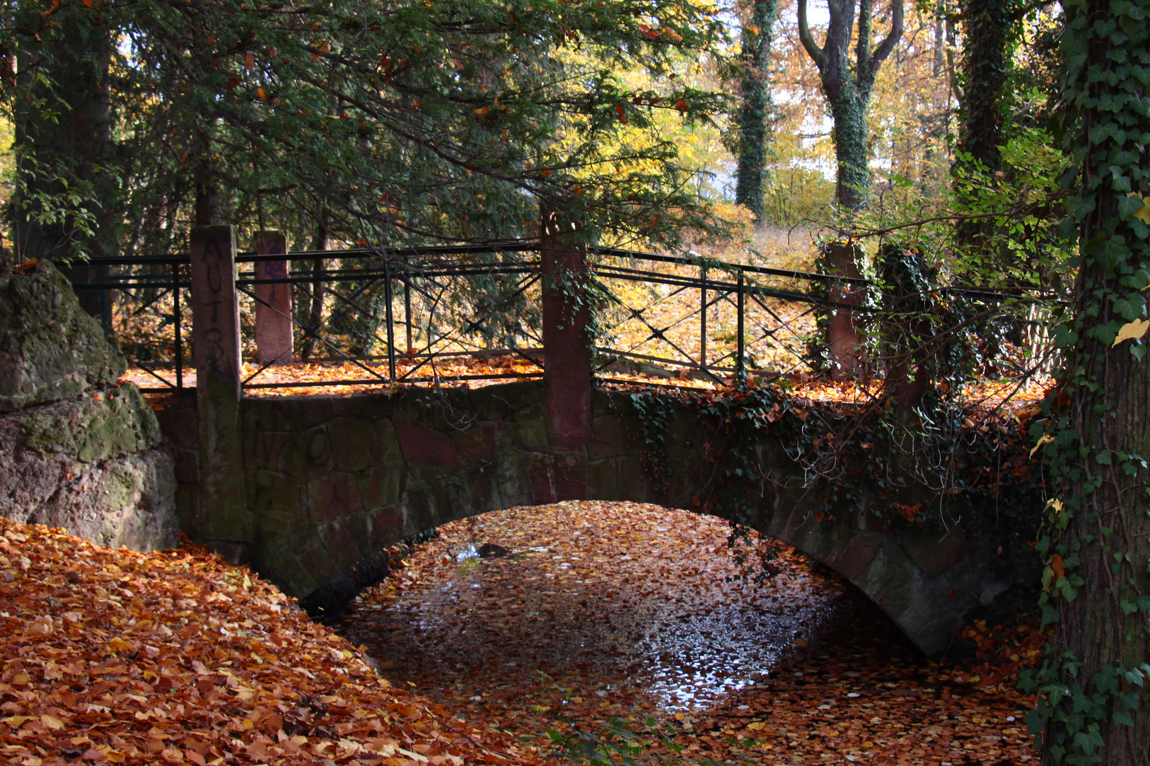 le pont des feuilles mortes!