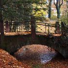 le pont des feuilles mortes!