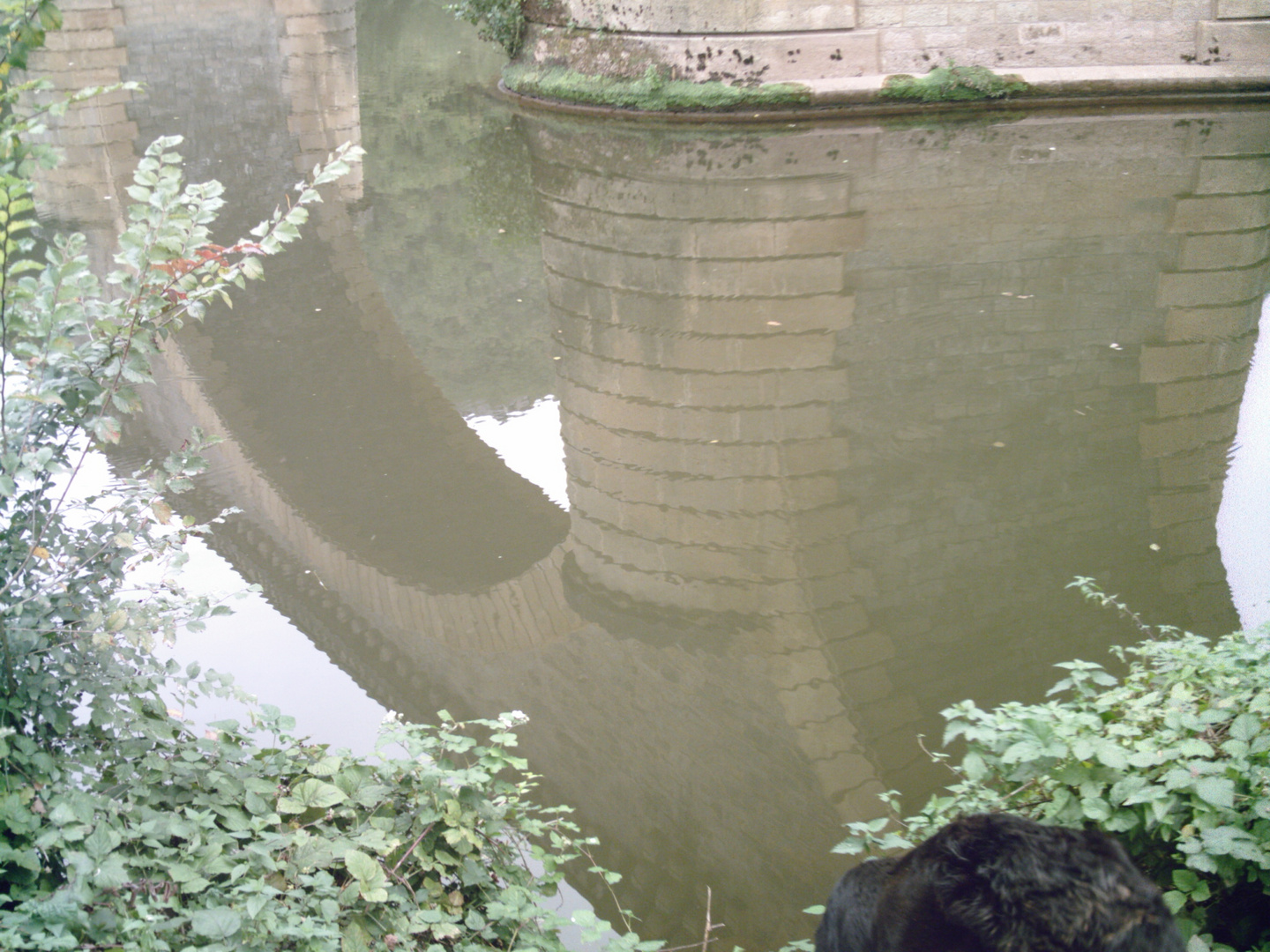 le pont des Masséries